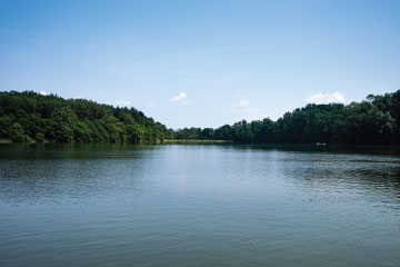 Kaptai lake