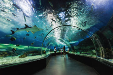 Aquarium Underwater Dubai