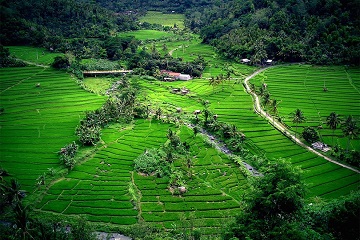 Bali Indonesia