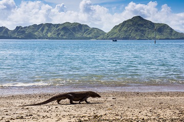 Komodo National Park Indonesia