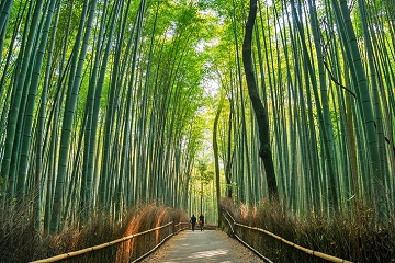 Kyoto Japan