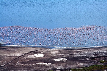 Lake Nakuru Kenya