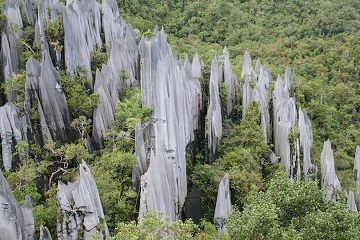 Gunung Mulu National Park Malaysia