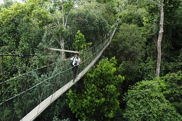 Taman Negara Malaysia