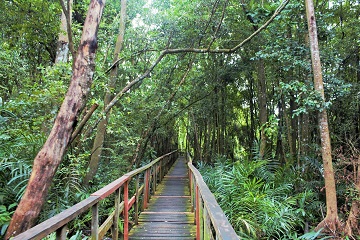 Lekki Conservation Centre Nigeria