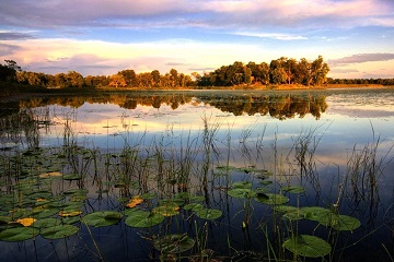 Minnesota North America