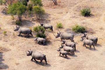 Kruger National Park South Africa