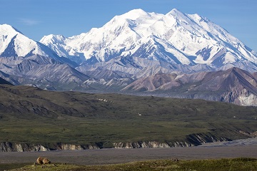 Denali National Park USA