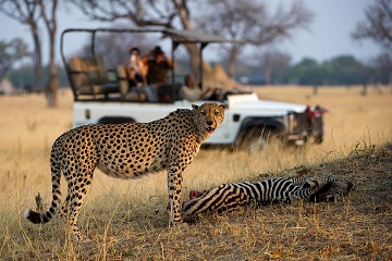 Little Makalo Zimbabwe